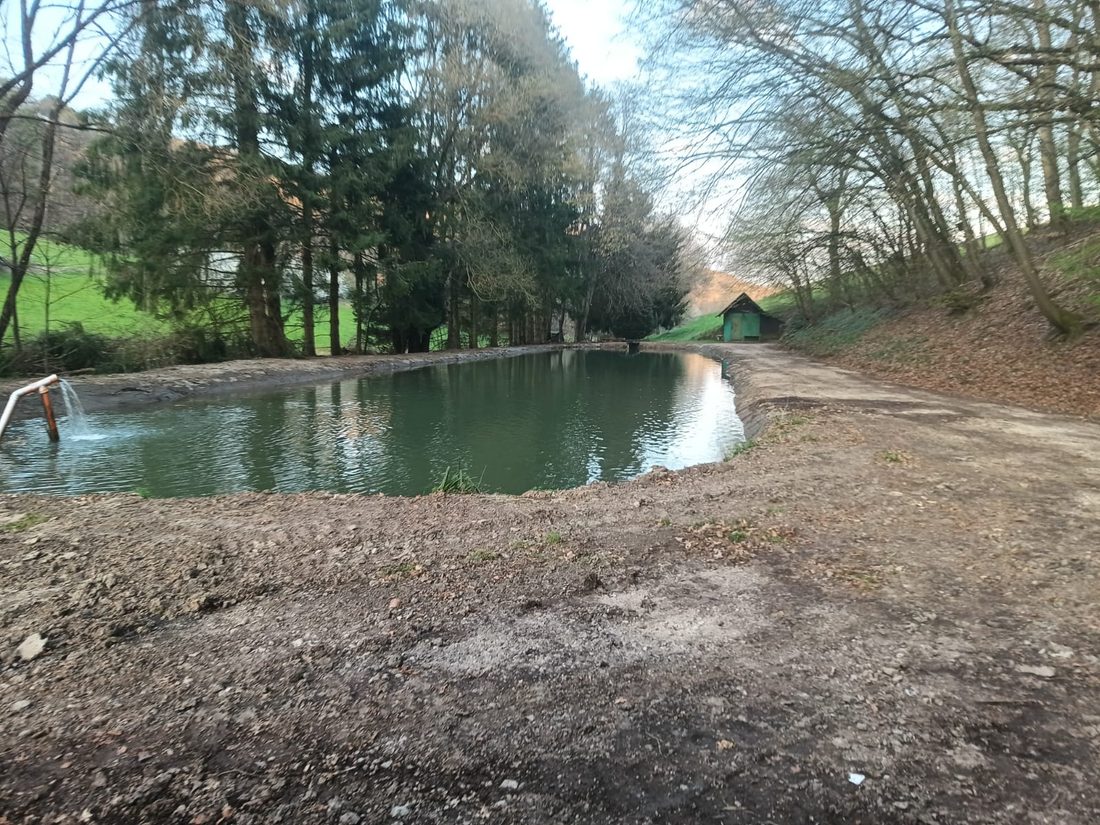 Angelegter Teich mit Wasserzulauf